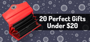 20 Perfect Gifts Under $20
